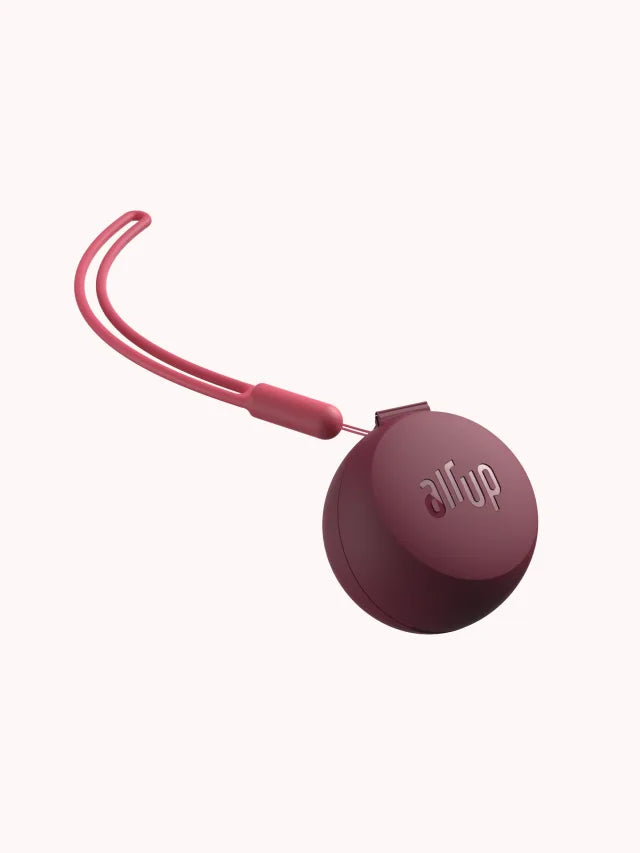 Pod Case TwoGo Burgundy Plum