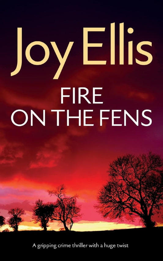 FIRE ON THE FENS a gripping crime thriller with a huge twist: 9 (Detective Nikki Galena Mysteries)