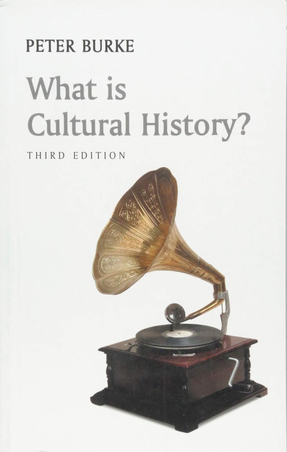 What is Cultural History?, 3rd Edition (What is History?)