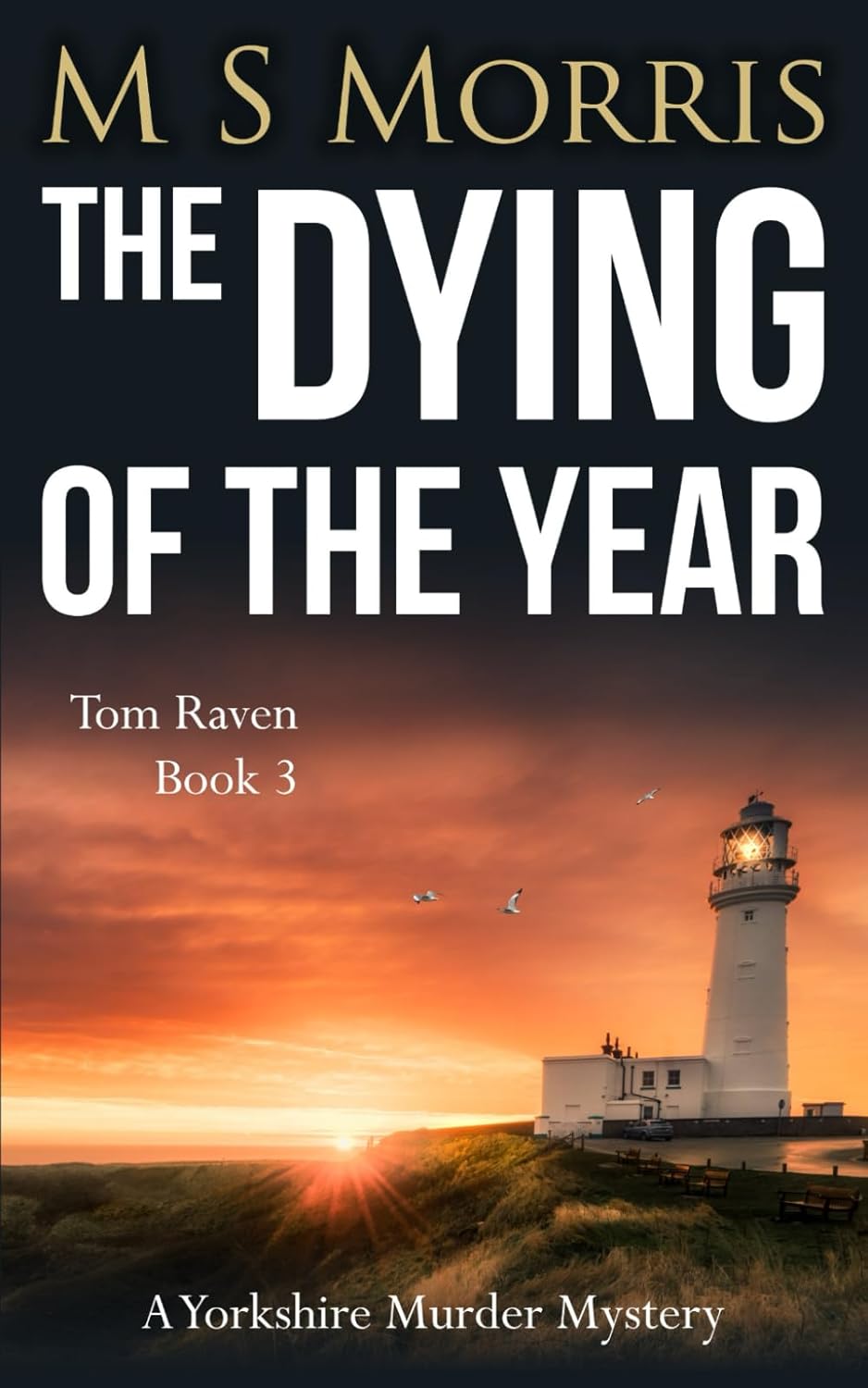 The Dying of the Year: A Yorkshire Murder Mystery: 3 (DCI Tom Raven Crime Thrillers)