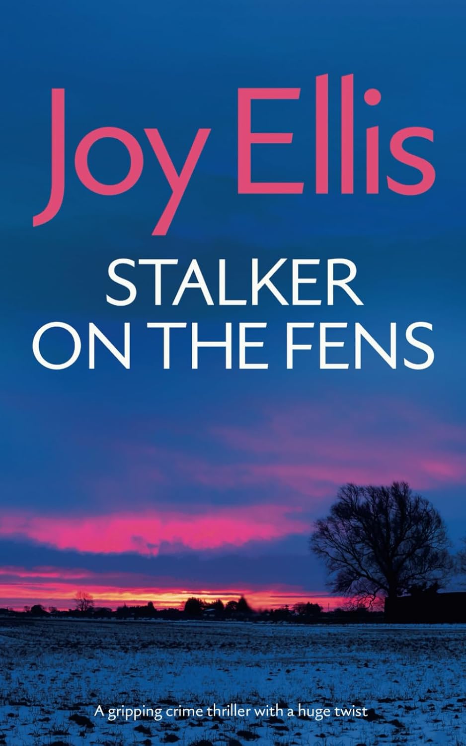 STALKER ON THE FENS a gripping crime thriller with a huge twist (Detective Nikki Galena Mysteries)