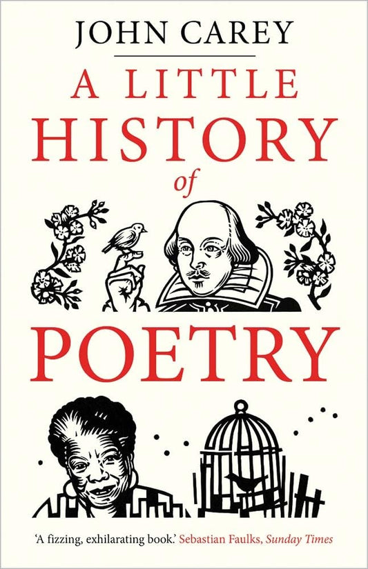 A Little History of Poetry (Little Histories)