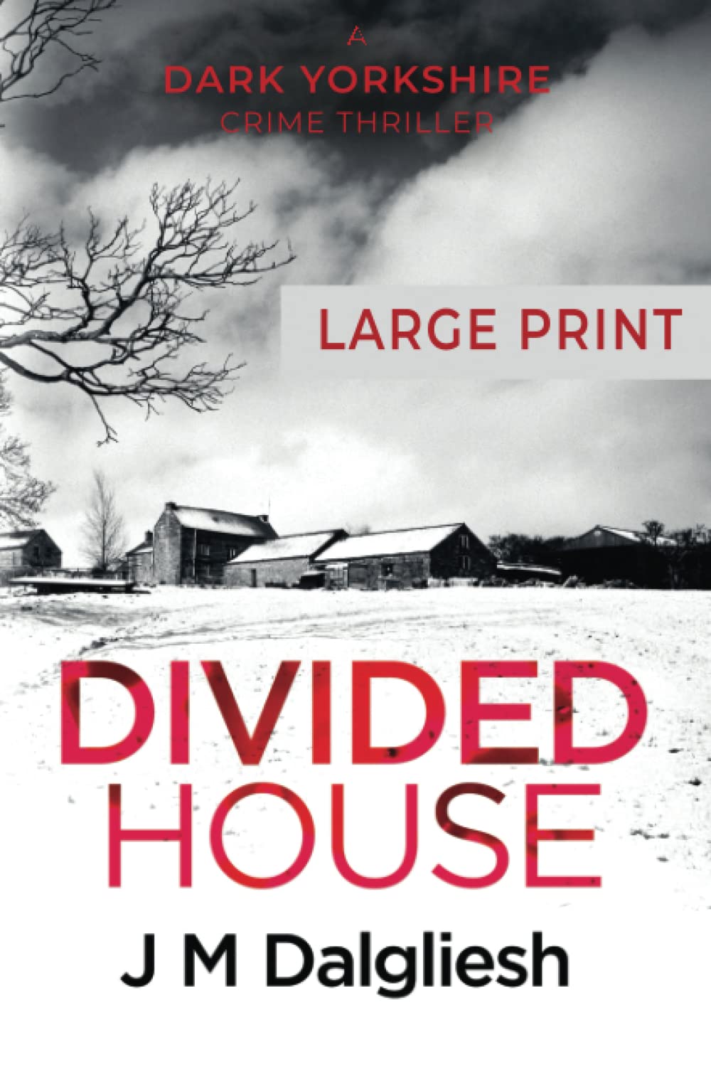 Divided House: A Dark Yorkshire Crime Thriller (Large Print): 1