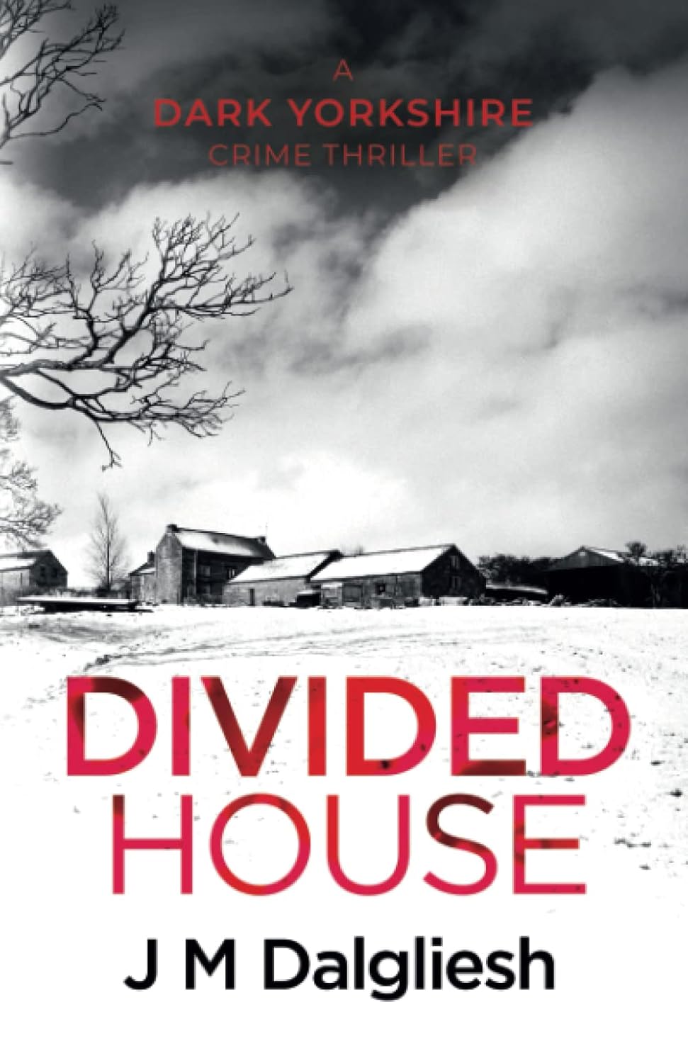 Divided House (The Dark Yorkshire Crime Thrillers)