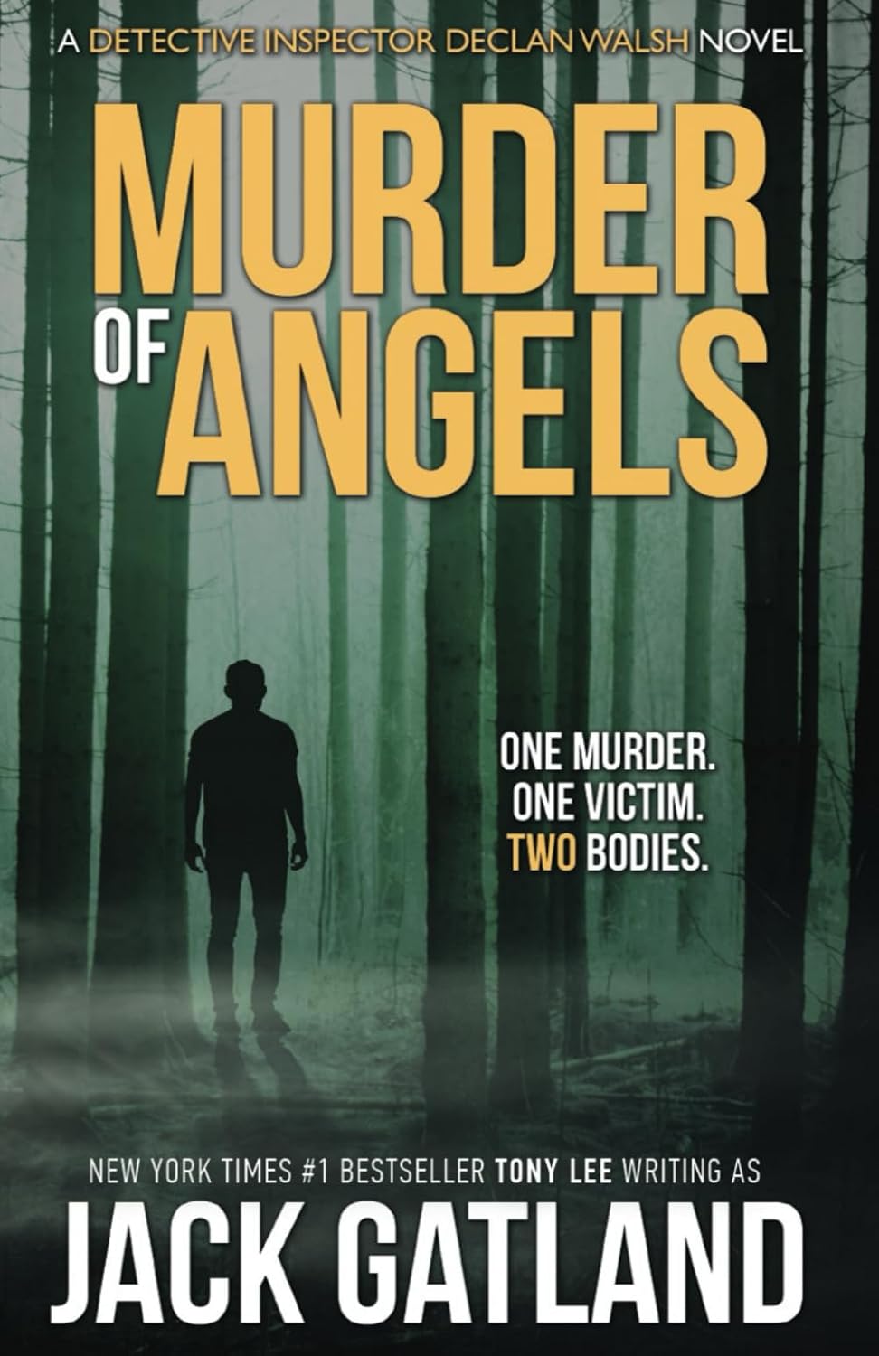 Murder Of Angels (Detective Inspector Declan Walsh Book 2)