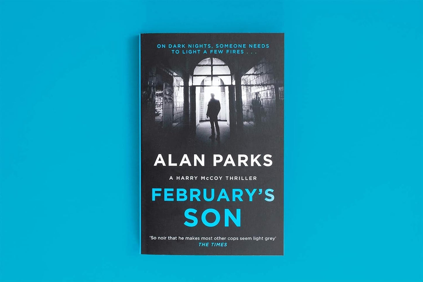 February's Son: 2 (A Harry McCoy Thriller)