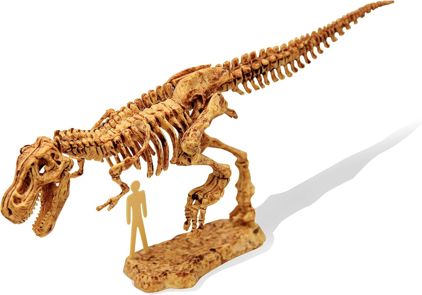 BUKI 439TYR - Dino Excavation Kit - T Rex