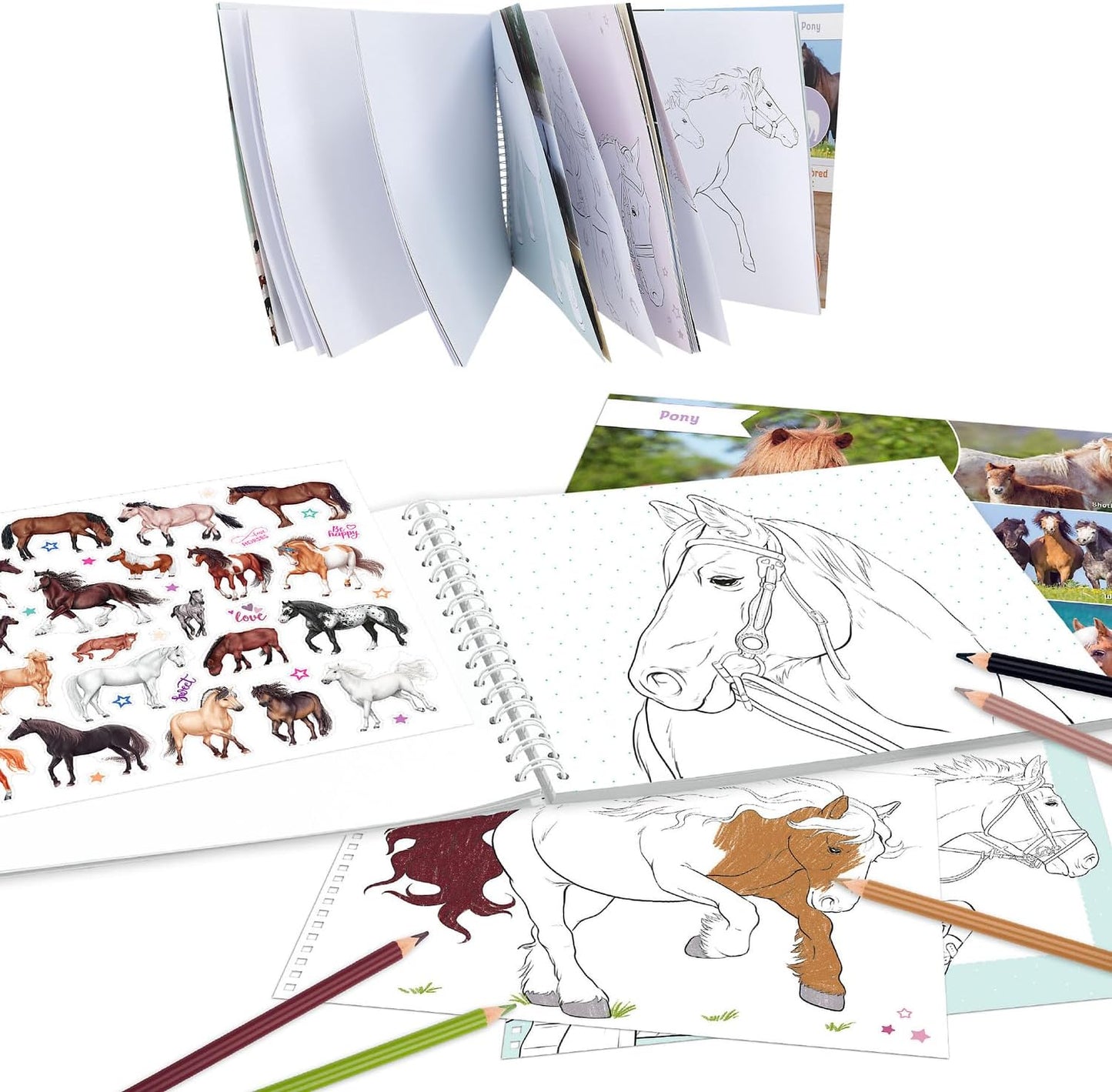 Depesche Miss Melody 12978 Colouring Book with 44 Pages for Creating Horse Motifs Includes Sticker Sheet