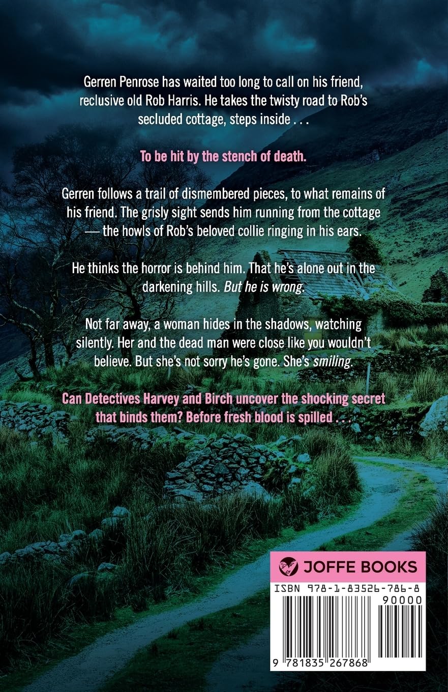 THE DARKENING HILLS: An utterly addictive Northern Irish crime thriller full of twists (4) (Harvey & Birch)