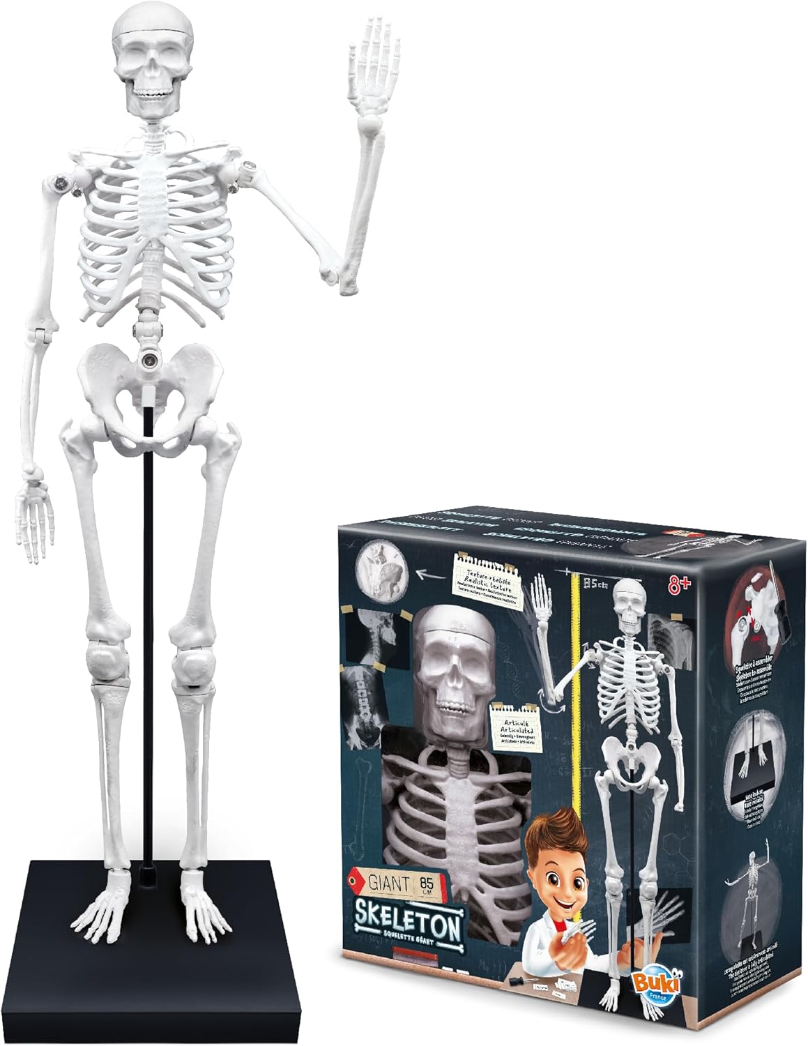 Buki France 2181 Giant Skeleton 85 cm White