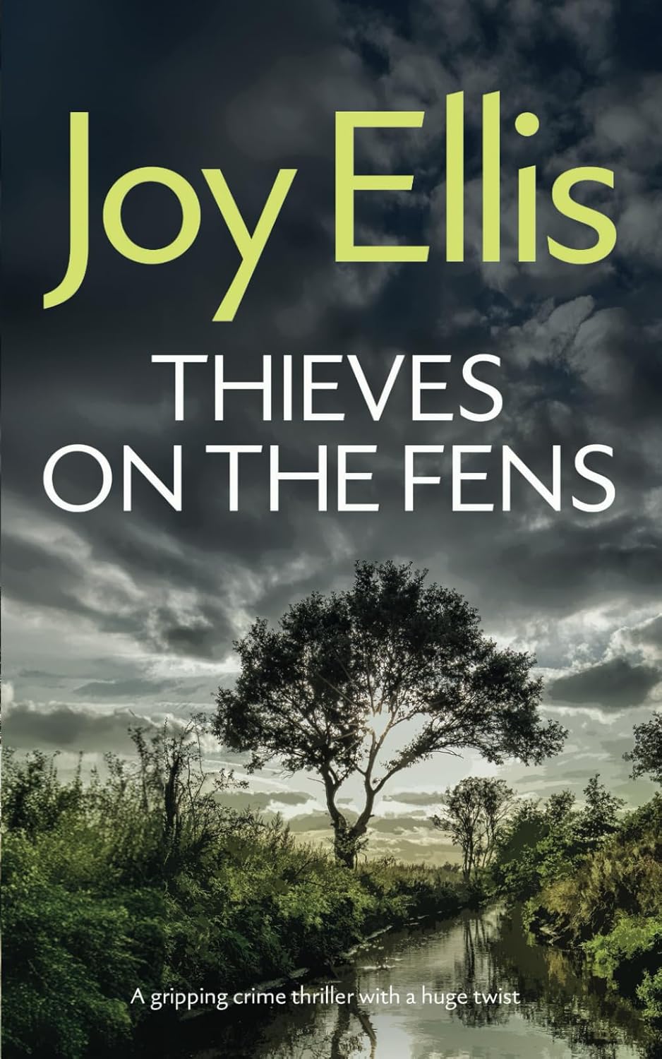 THIEVES ON THE FENS a gripping crime thriller with a huge twist (Detective Nikki Galena Mysteries)