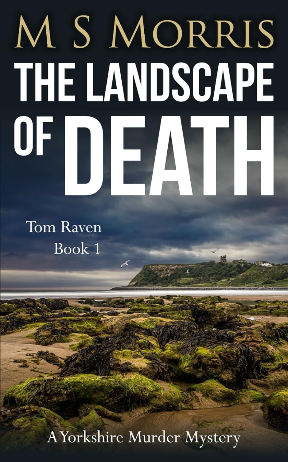 The Landscape of Death: A Yorkshire Murder Mystery: 1 (DCI Tom Raven Crime Thrillers)