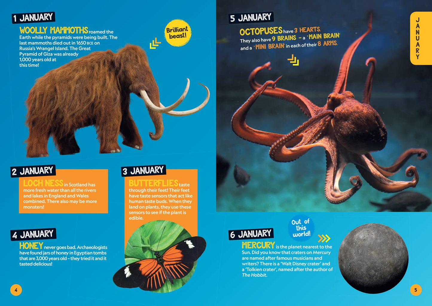 A Fact for Every Day of the Year: 365 facts to make you say WOW! (National Geographic Kids)