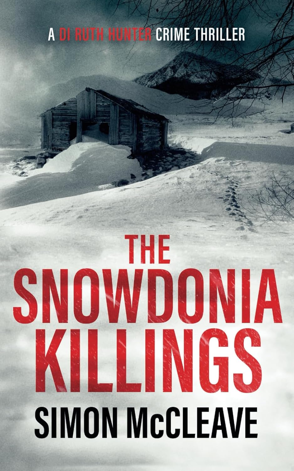 The Snowdonia Killings: A Snowdonia Murder Mystery Book 1 (A DI Ruth Hunter Crime Thriller)