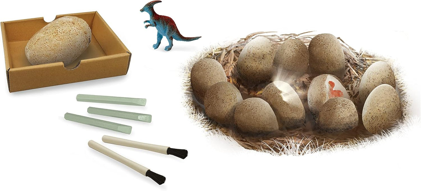 Buki France 2138 Dinosaur Dino Eggs Maxi Pack x12 One Egg = 6 cm Brown