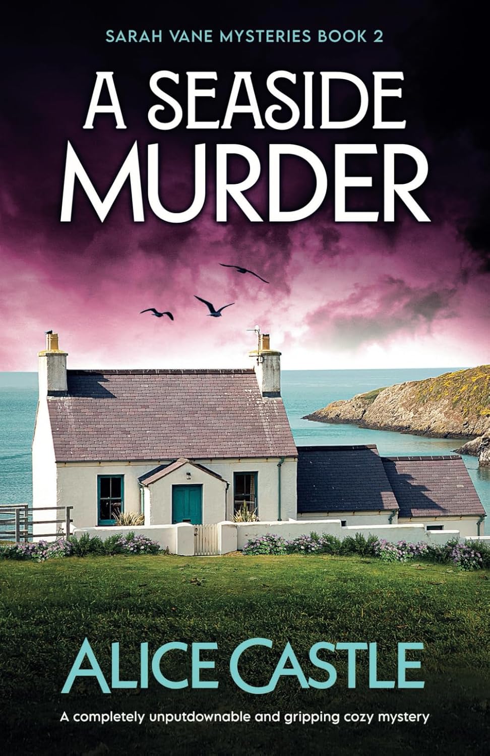 A Seaside Murder: A completely unputdownable and gripping cozy mystery: 2 (Sarah Vane Mysteries)