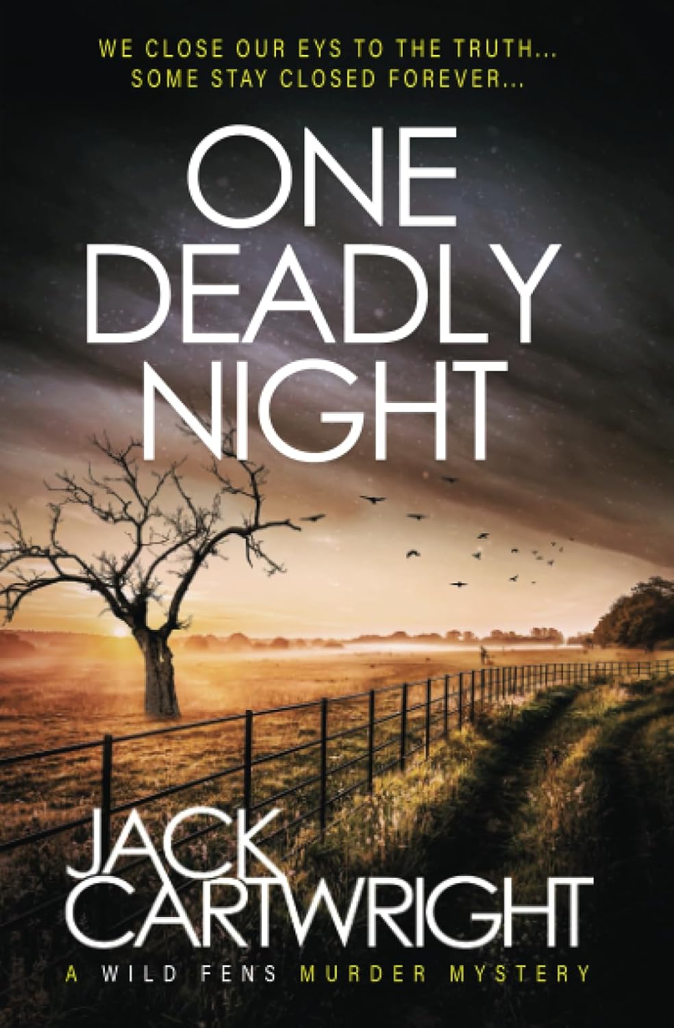 One Deadly Night: A British Murder Mystery (The Wild Fens Murder Mystery Series)