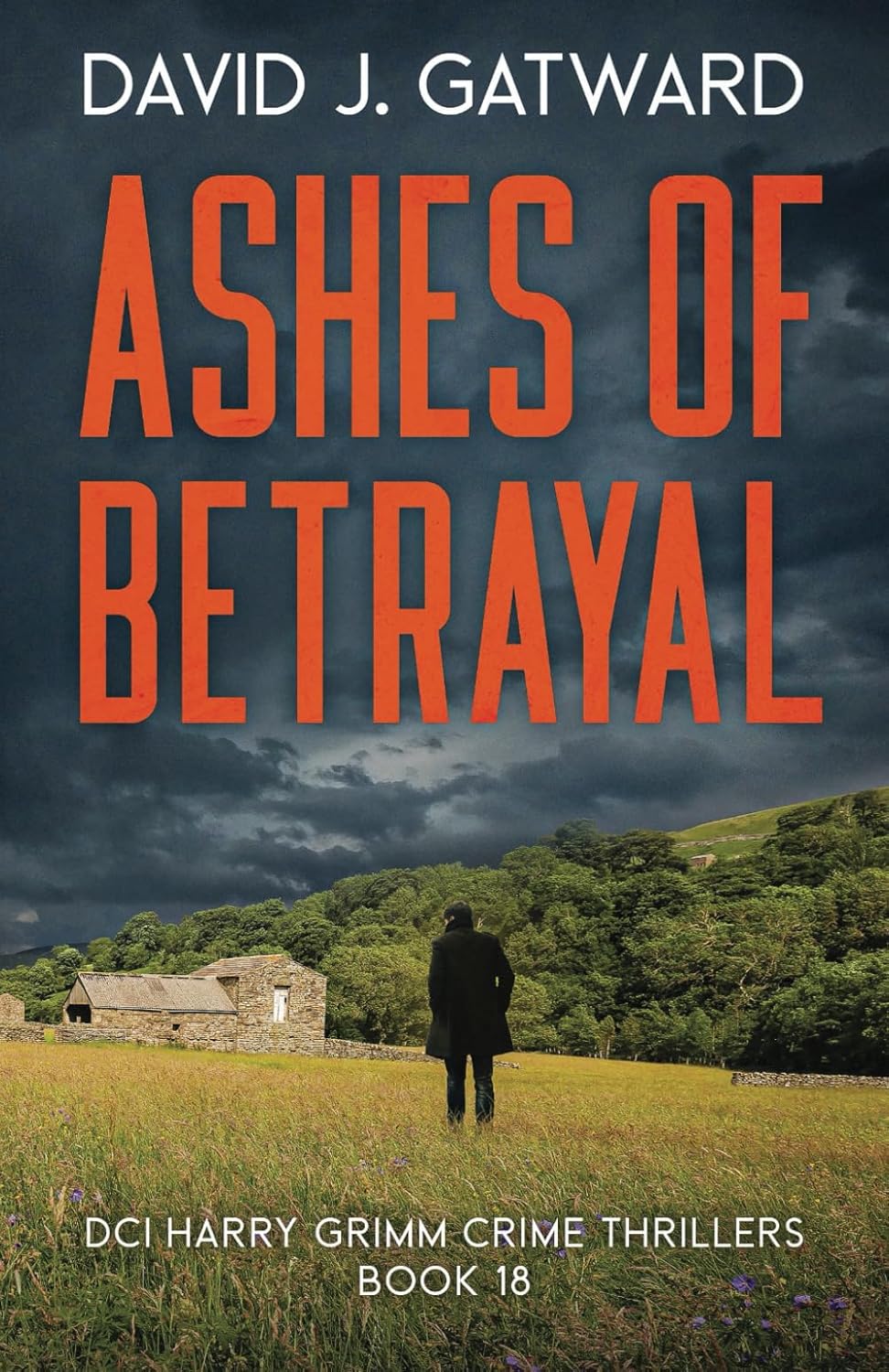 Ashes of Betrayal: A Yorkshire Murder Mystery (DCI Harry Grimm Crime Thrillers)