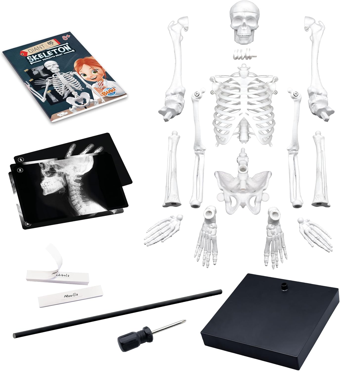 Buki France 2181 Giant Skeleton 85 cm White