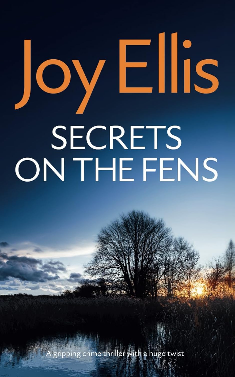 SECRETS ON THE FENS a gripping crime thriller with a huge twist (Detective Nikki Galena Mysteries)