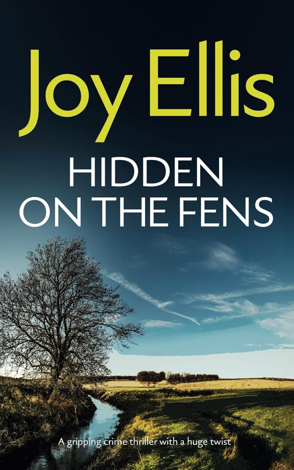 HIDDEN ON THE FENS a gripping crime thriller with a huge twist (Detective Nikki Galena Mysteries)