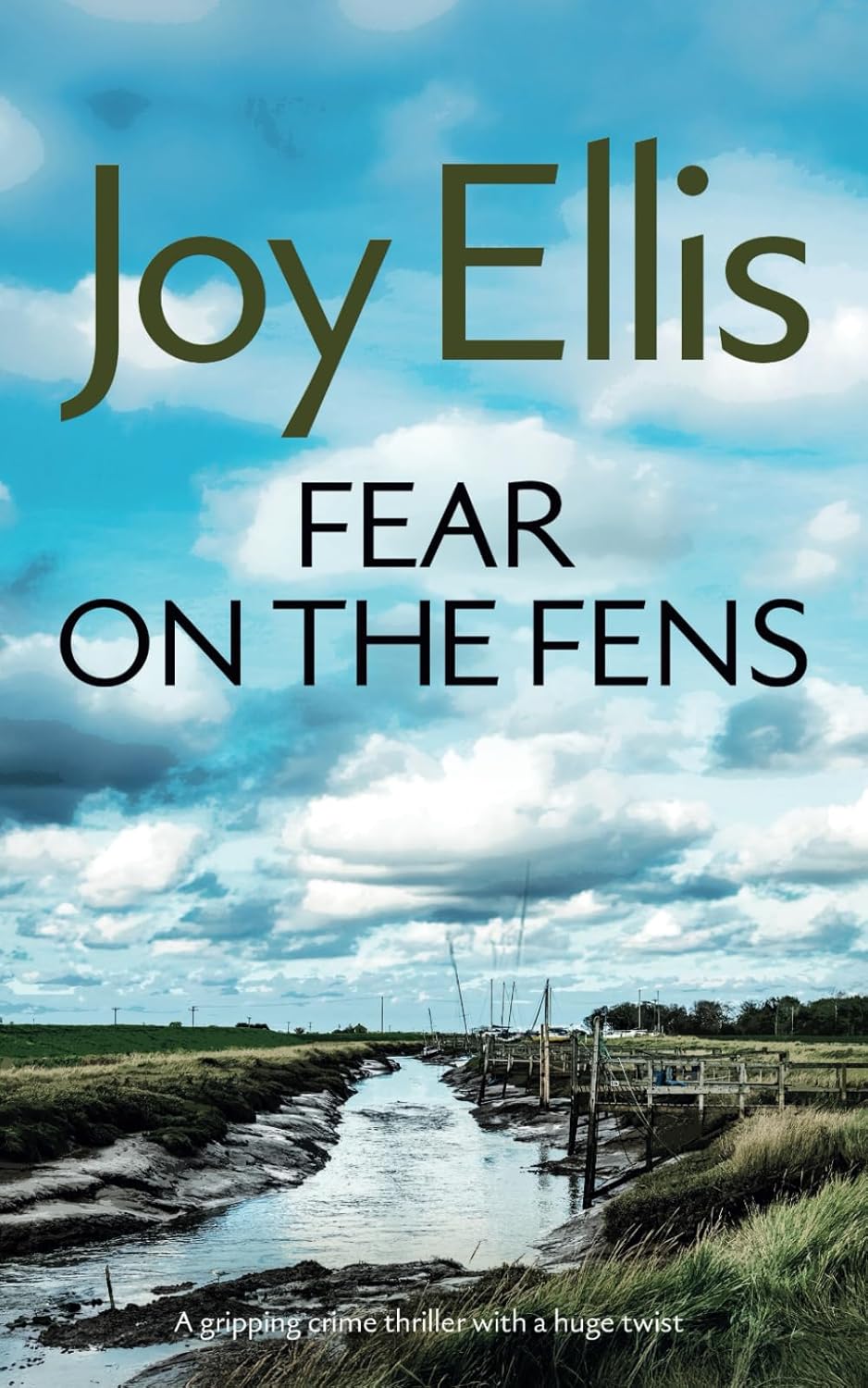 FEAR ON THE FENS a gripping crime thriller with a huge twist (Detective Nikki Galena Mysteries)