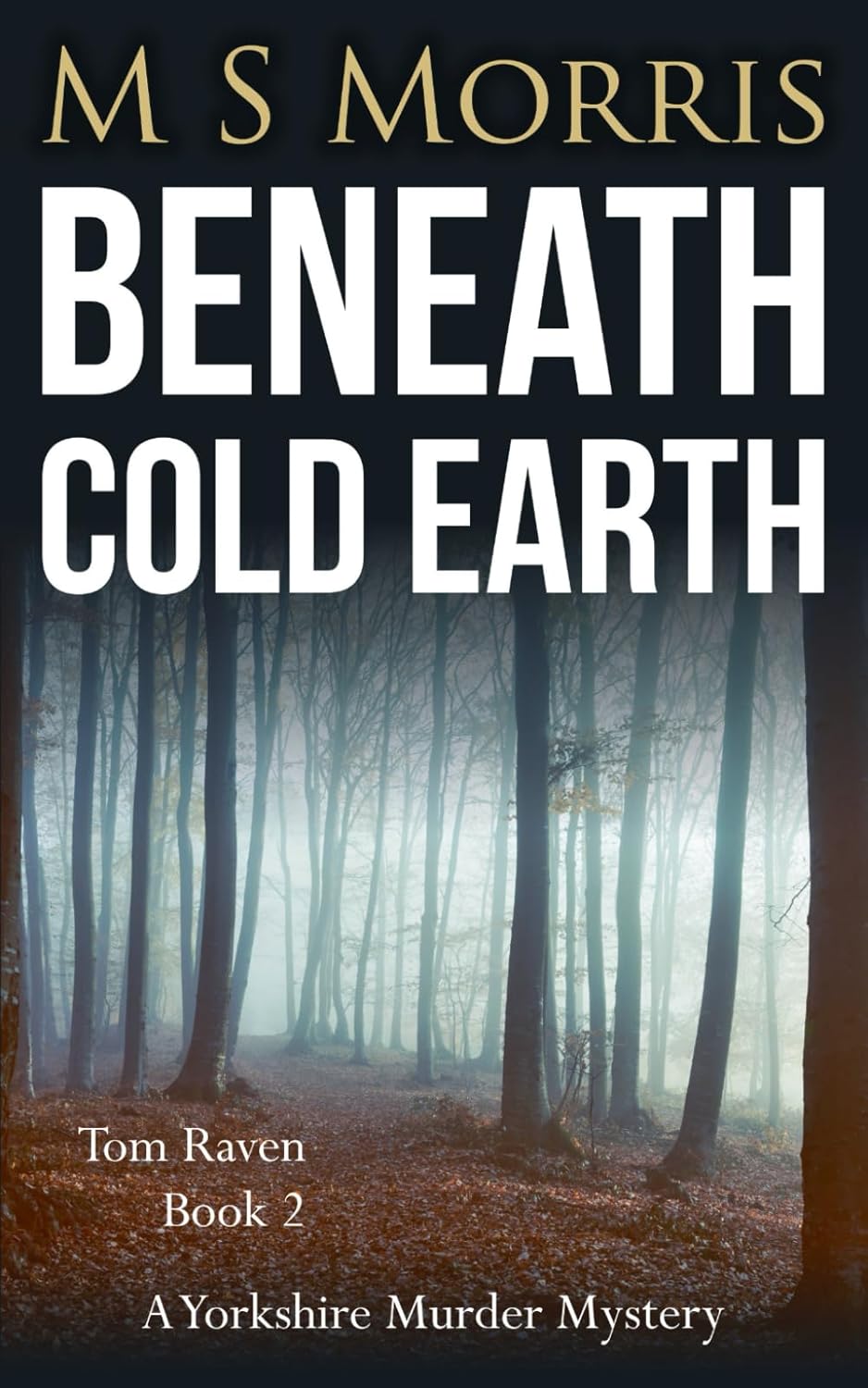 Beneath Cold Earth: A Yorkshire Murder Mystery: 2 (DCI Tom Raven Crime Thrillers)