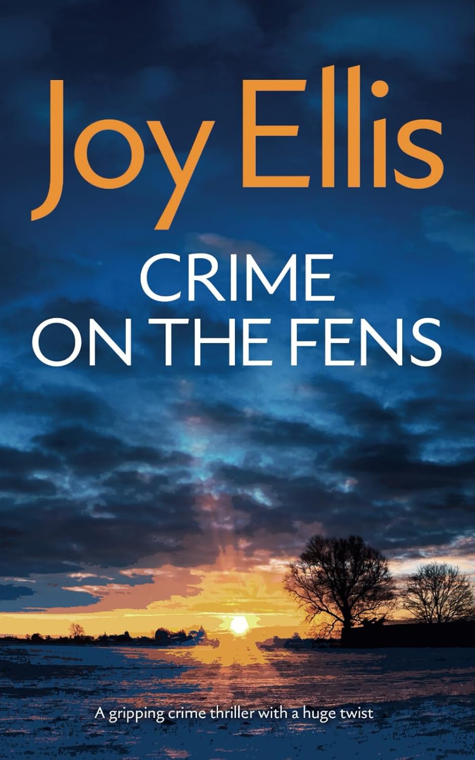 CRIME ON THE FENS a gripping crime thriller with a huge twist (Detective Nikki Galena Mysteries)