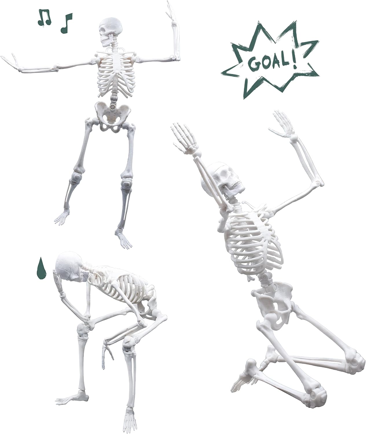 Buki 2180 Skeleton 45 cm