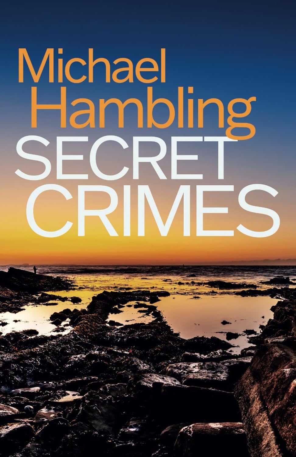 SECRET CRIMES a British crime mystery full of twists (Detective Sophie Allen)