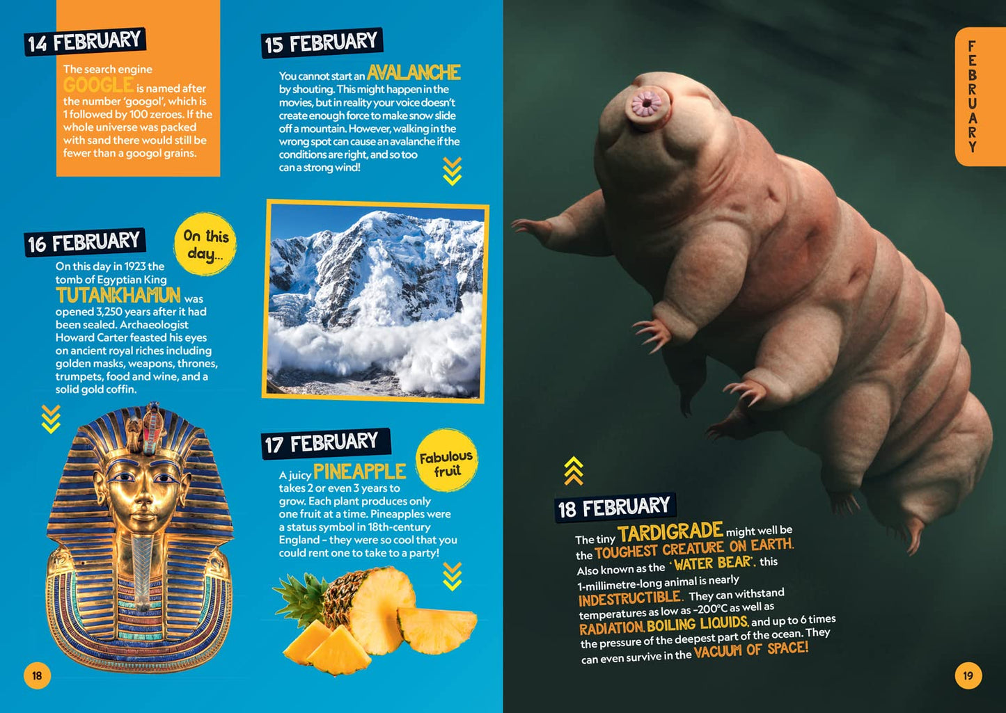 A Fact for Every Day of the Year: 365 facts to make you say WOW! (National Geographic Kids)