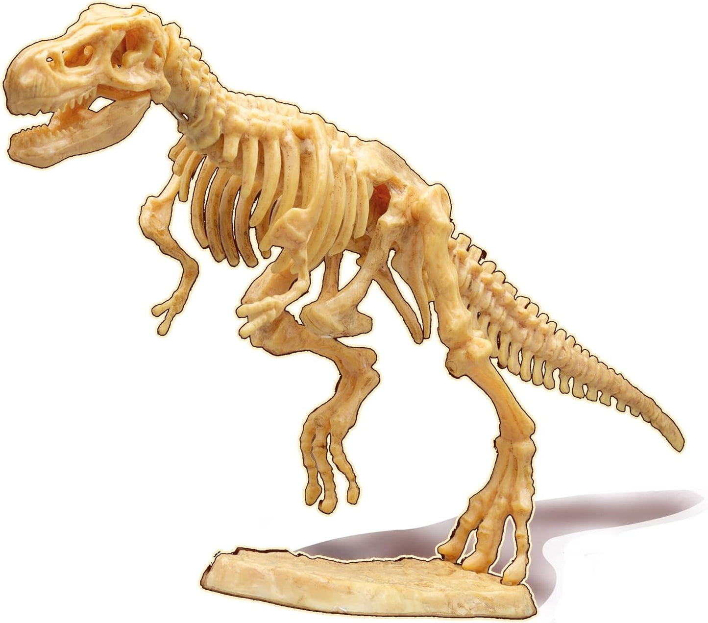 Buki - Dino dig-t-Rex-Dinosaurus zum Ausgraben, 20 cm, 445TYR