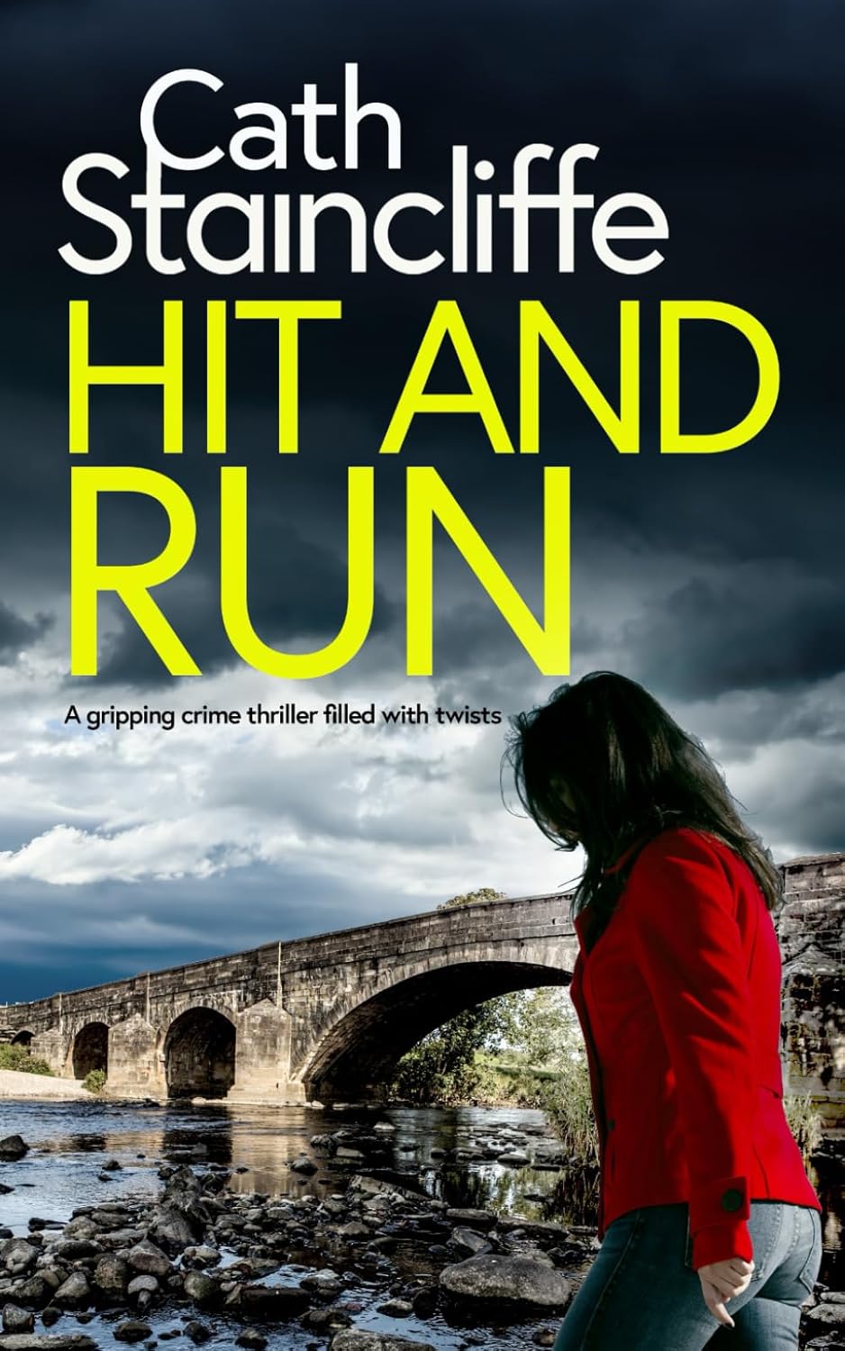 HIT AND RUN a gripping crime thriller filled with twists (Detective Janine Lewis Mysteries)