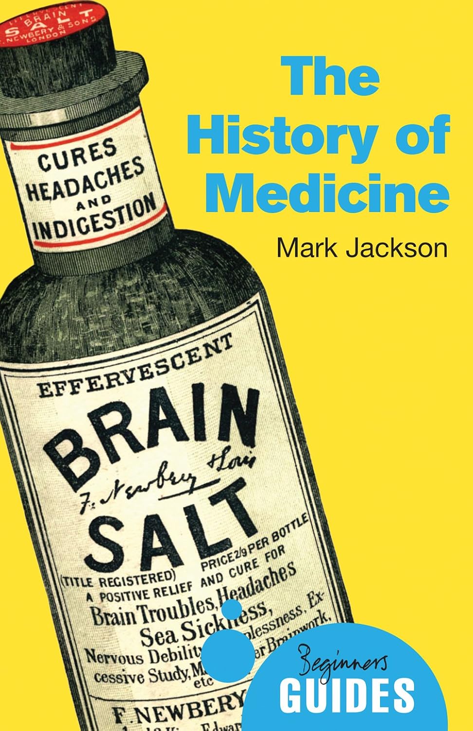 The History of Medicine: A Beginner's Guide (Beginner's Guides)