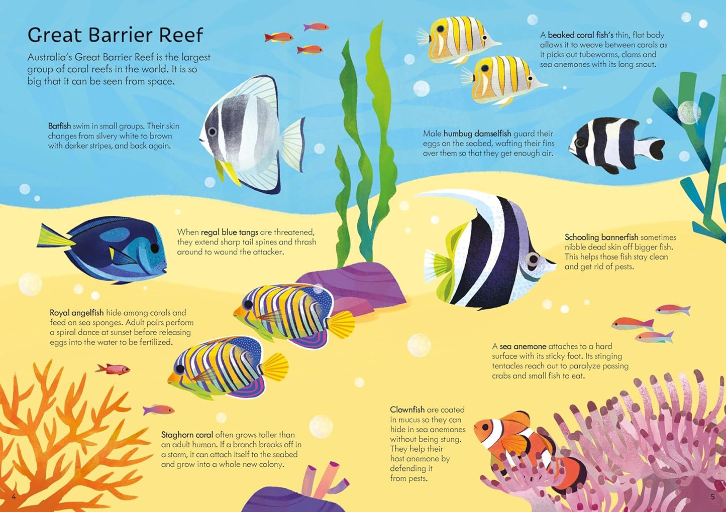 Usborne Book and Jigsaw Coral Reef