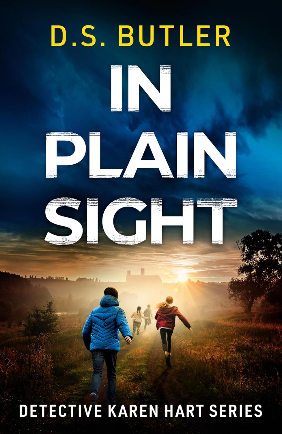 In Plain Sight: 10 (Detective Karen Hart)