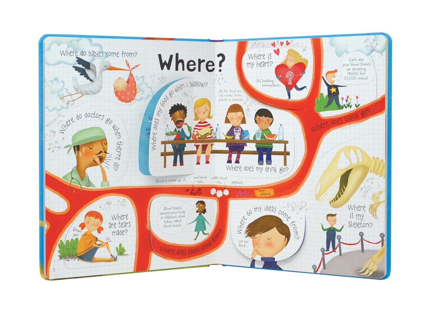 Lift the Flap Questions & Answers about your Body (Usborne Lift-the-Flap-Books): 1 (Questions and Answers)