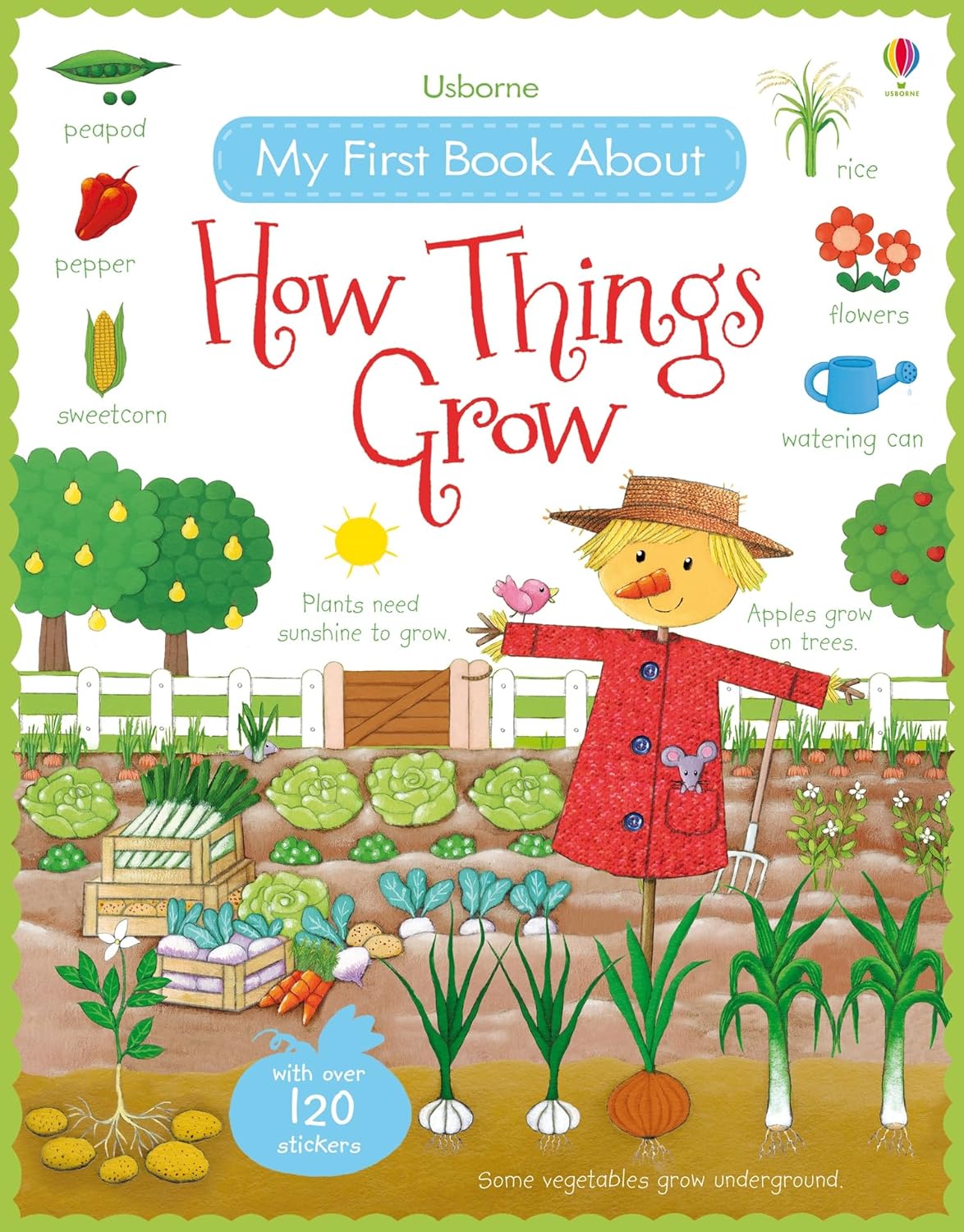 My First Book About How Things Grow (My First Books): 1 (All About)