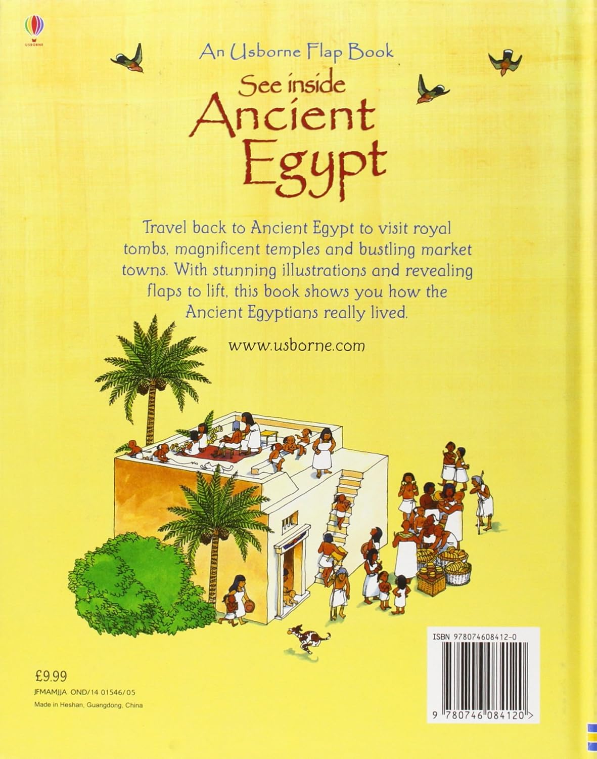 Egypt (See Inside) (Usborne See Inside): 1