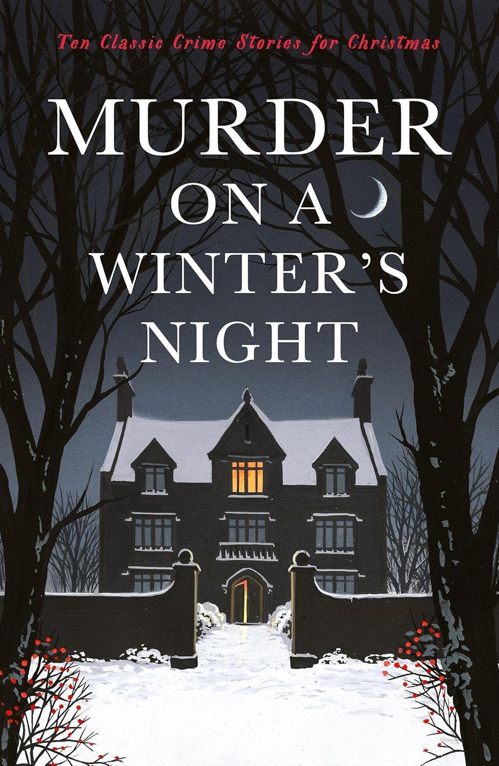 Murder on a Winter's Night: Ten Classic Crime Stories for Christmas (Vintage Murders)