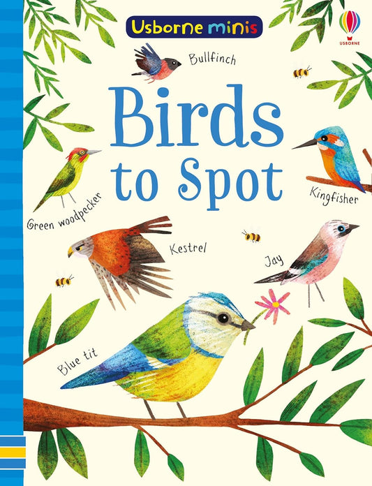 Birds to Spot (Usborne Minis)