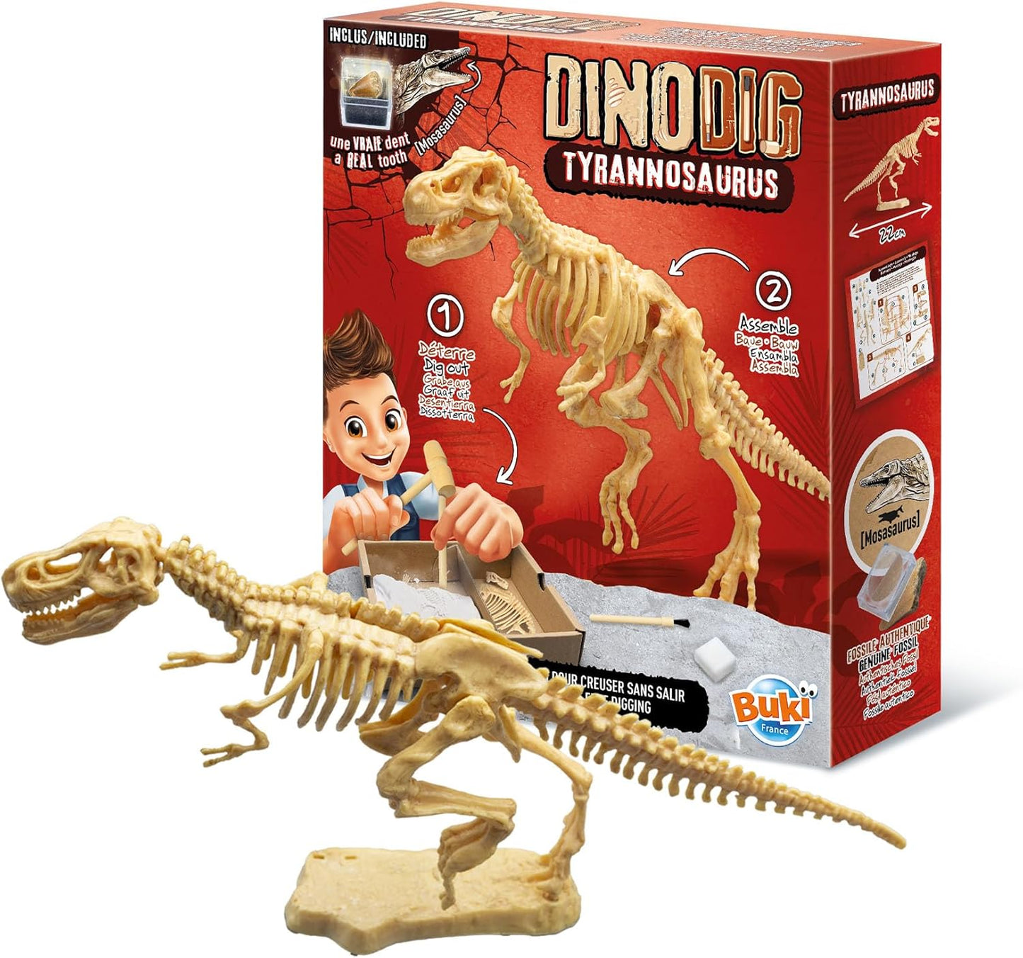 Buki - Dino dig-t-Rex-Dinosaurus zum Ausgraben, 20 cm, 445TYR