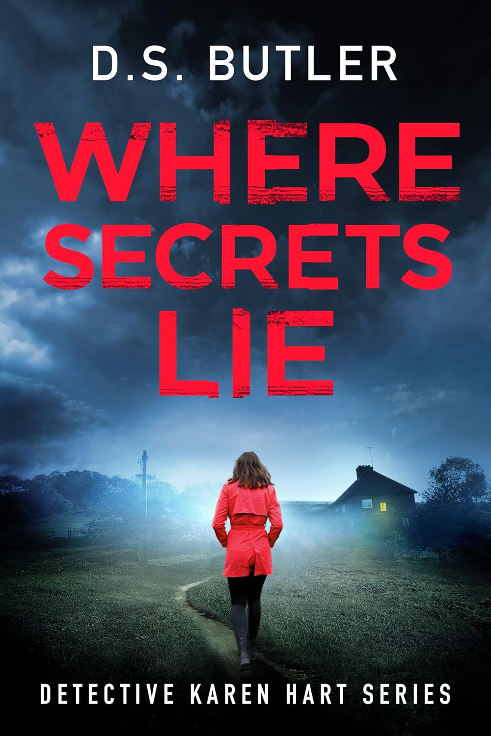 Where Secrets Lie: 2 (Detective Karen Hart, 2)