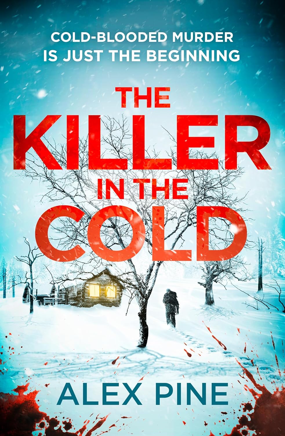 The Killer in the Cold: Uncover the most chilling NEW thriller of 2024: Book 5 (DI James Walker series)