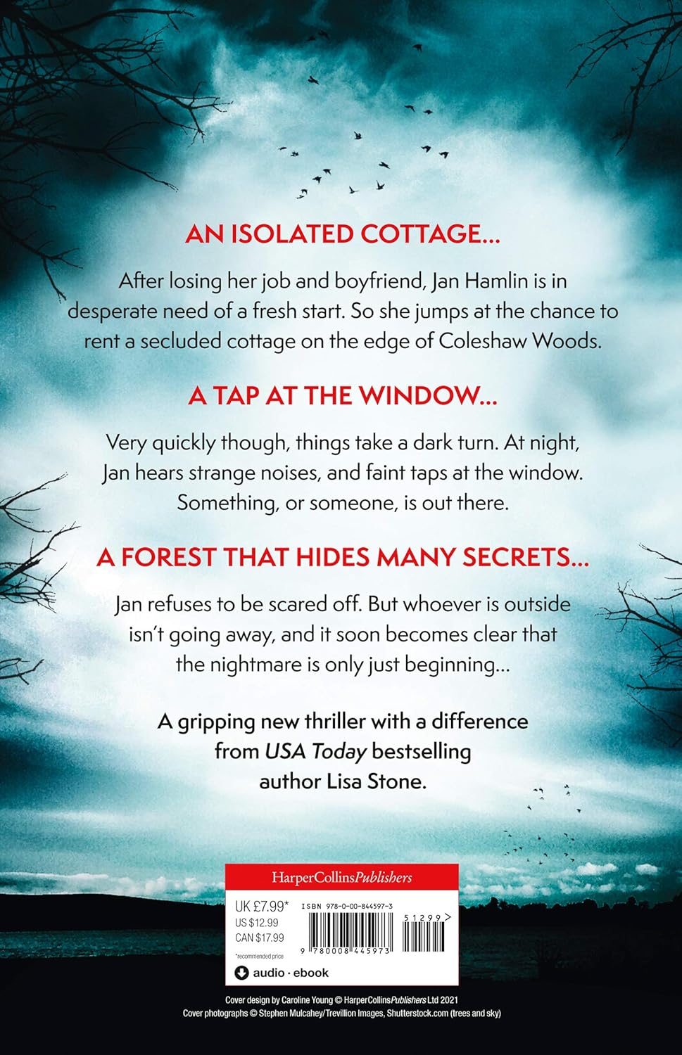 The Cottage: The gripping new 2021 crime suspense thriller with a difference: The gripping crime mystery suspense thriller with a shocking twist you’ll never see coming