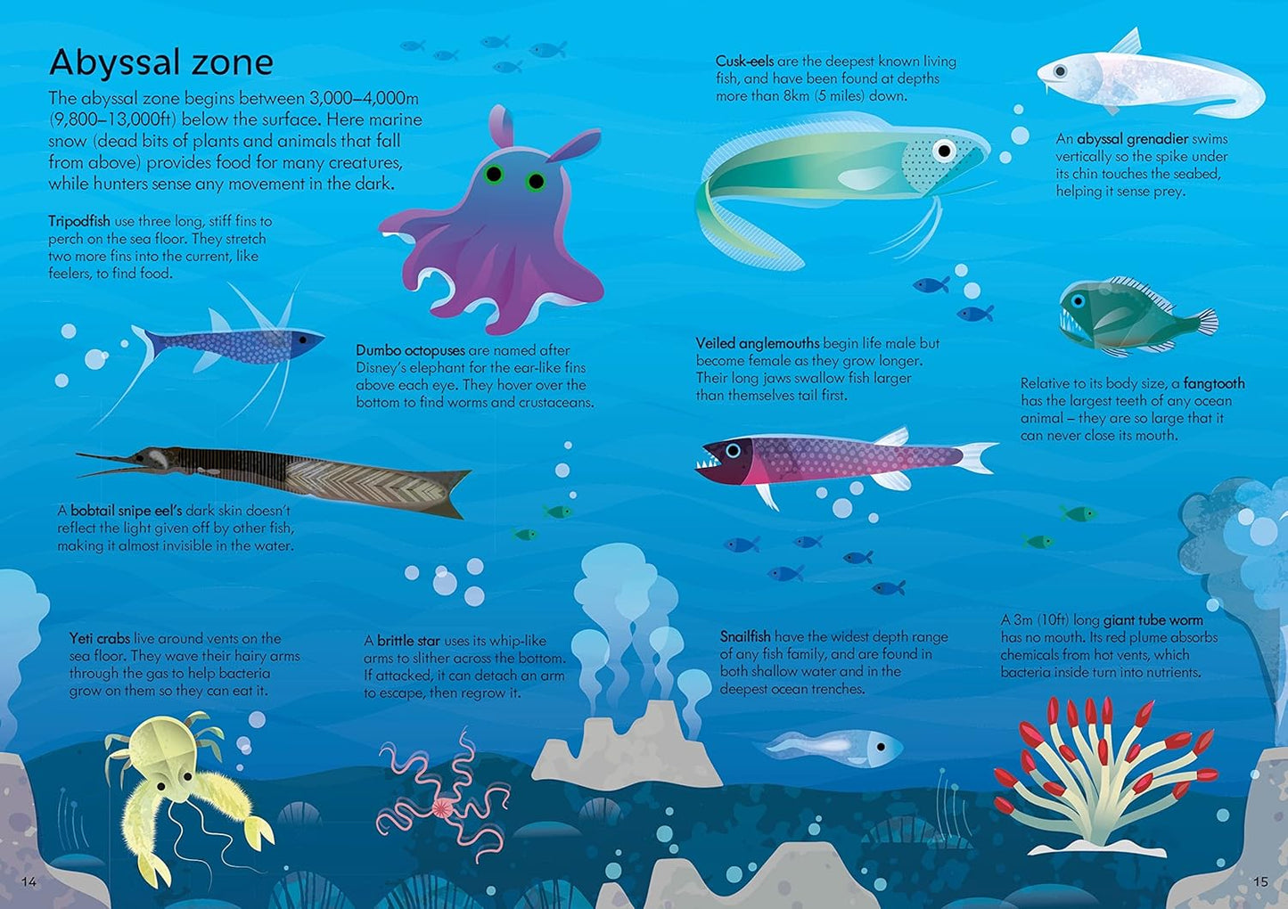 Usborne Book and Jigsaw Oceans