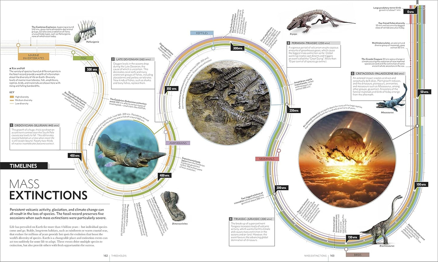 Big History: The Greatest Events of All Time From the Big Bang to Binary Code