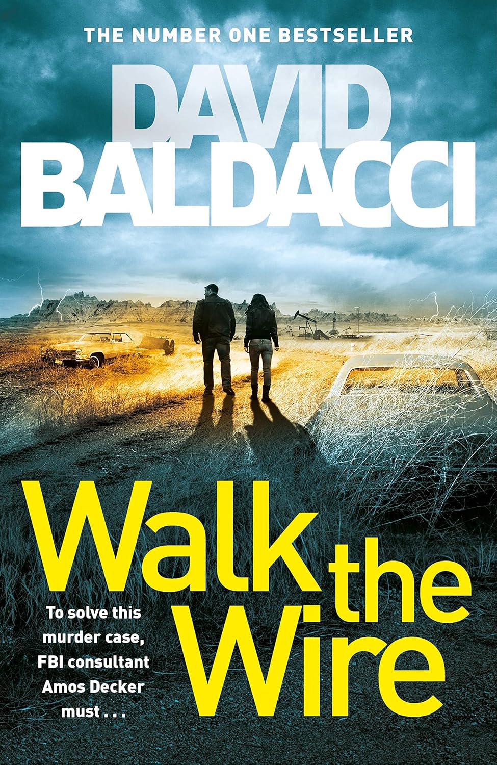 Walk the Wire: The Sunday Times Number One Bestseller: 6 (Amos Decker series, 6)