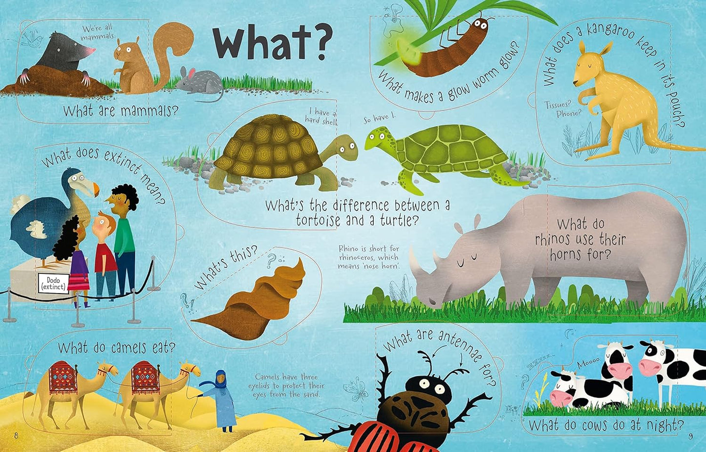 Lift the Flap Questions & Answers about Animals (Questions and Answers)