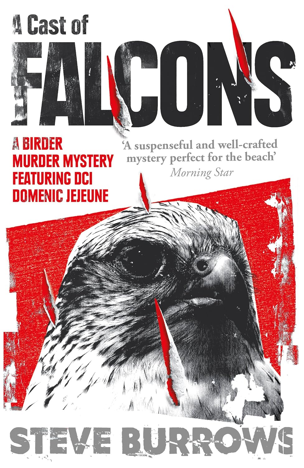 A Cast of Falcons: A Birder Murder Mystery: 3 (Birder Murder Mysteries)